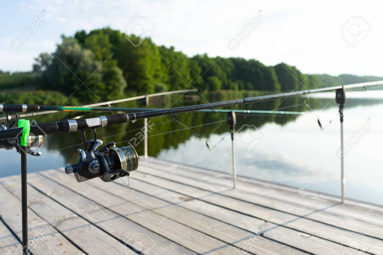 carp rods