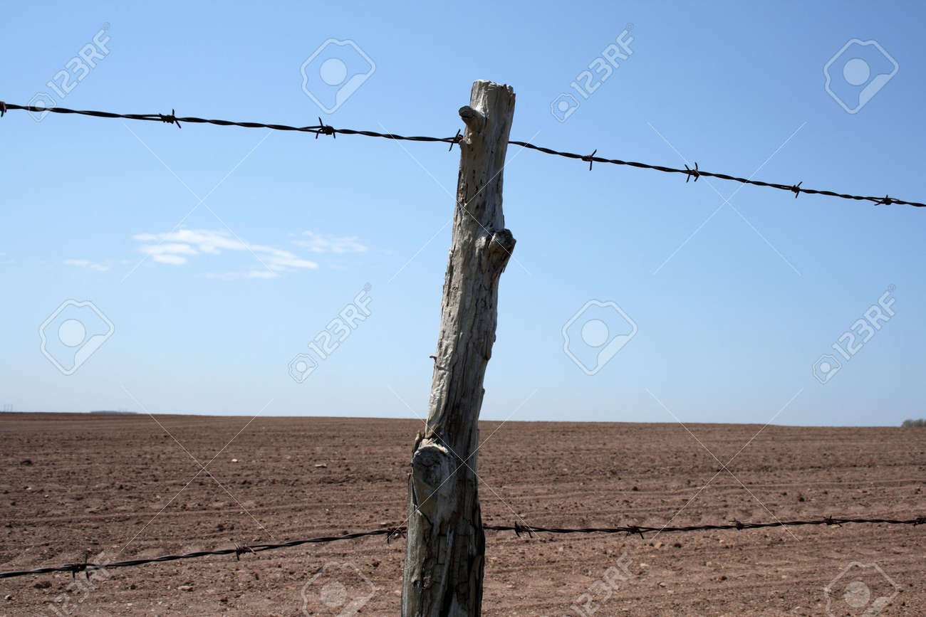 Barbed Wire Fence On Farm Barbed Wire Fence On Farm