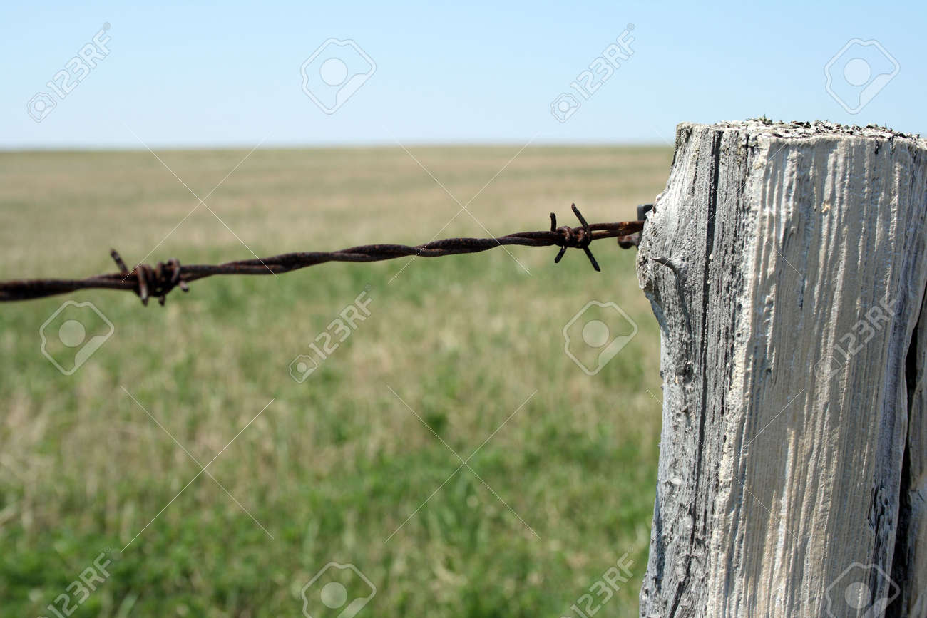 Old Barbed Wire Fence Old Barbed Wire Fence