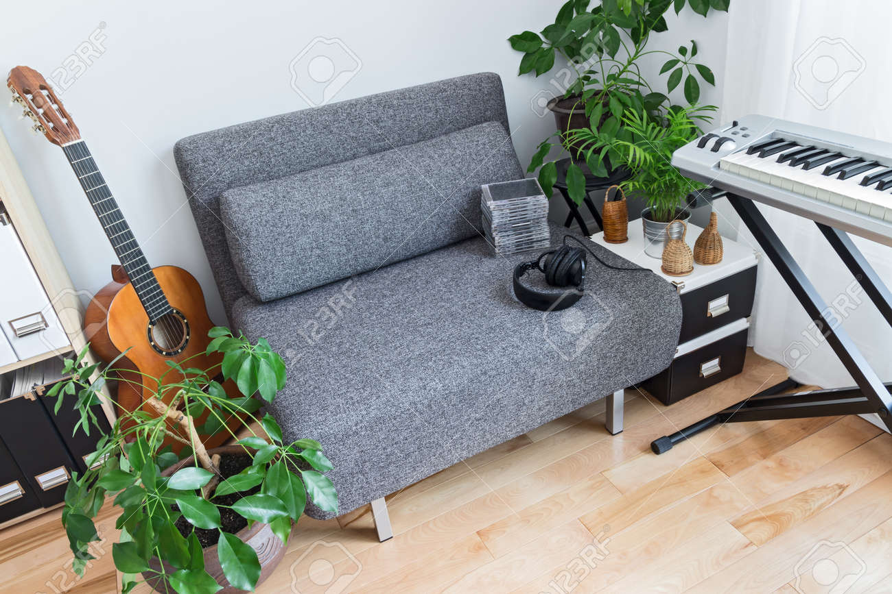 Casa Del Músico. Instrumentos Musicales Y Un Montón De Plantas Verdes. Fotos, Retratos, Imágenes Y Fotografía Libres Derecho. Image 20340566.