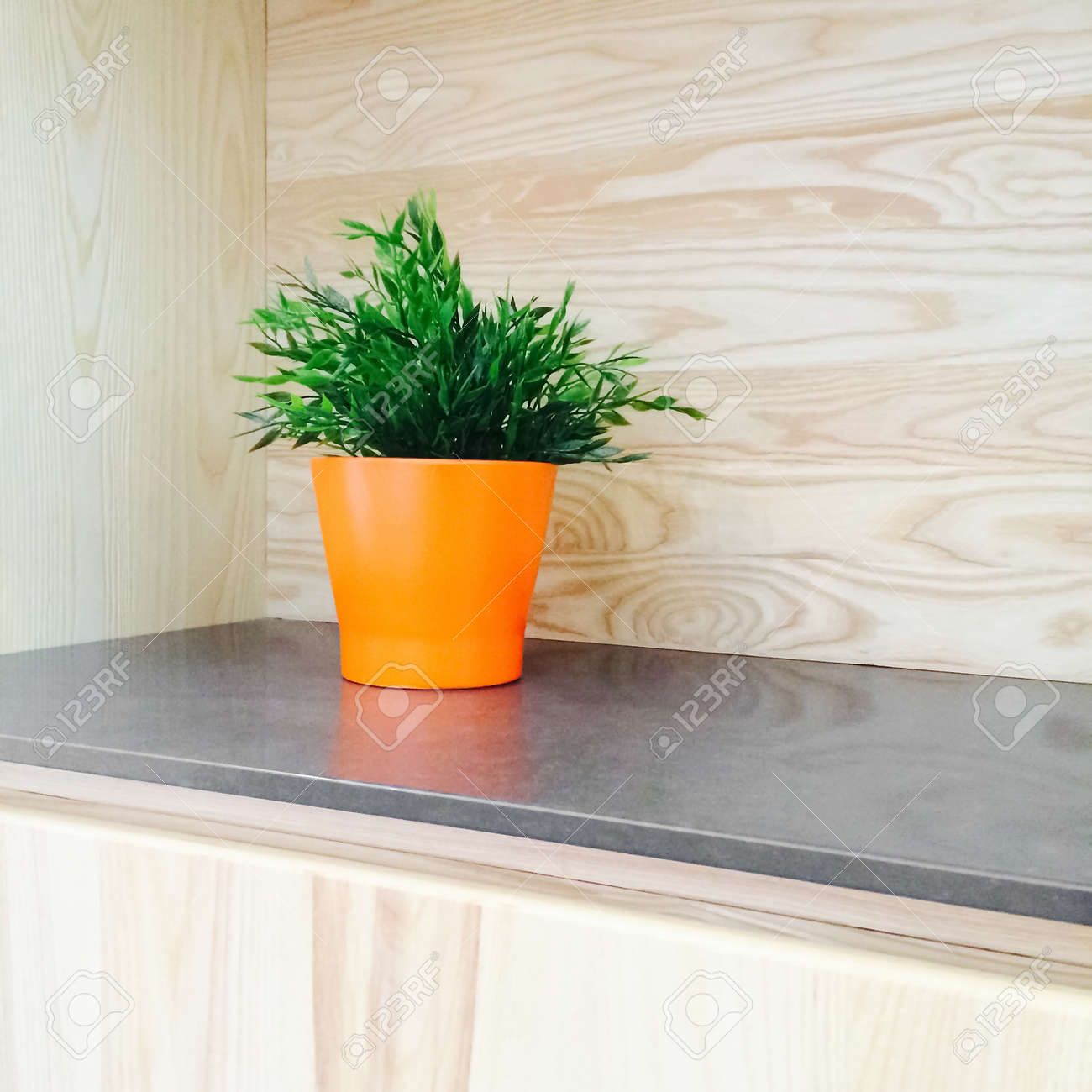 Plante Verte Dans Un Pot D\'orange Décoration Cuisine En Bois ... Plante Verte Dans Un Pot D\'orange Décoration Cuisine En Bois ...