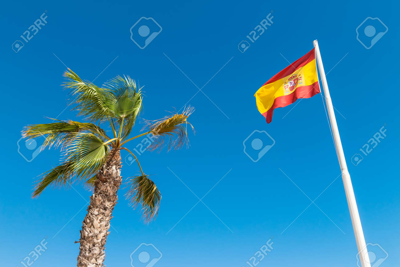スペイン国旗とヤシの木青空 スペインの旗 の写真素材 画像素材 Image