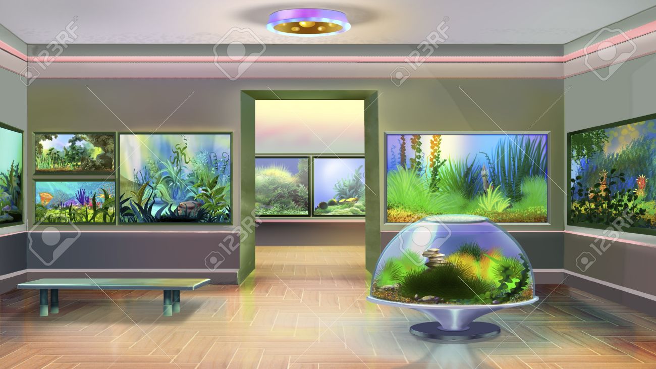 ペット ショップの水槽のインテリア の写真素材 画像素材 Image