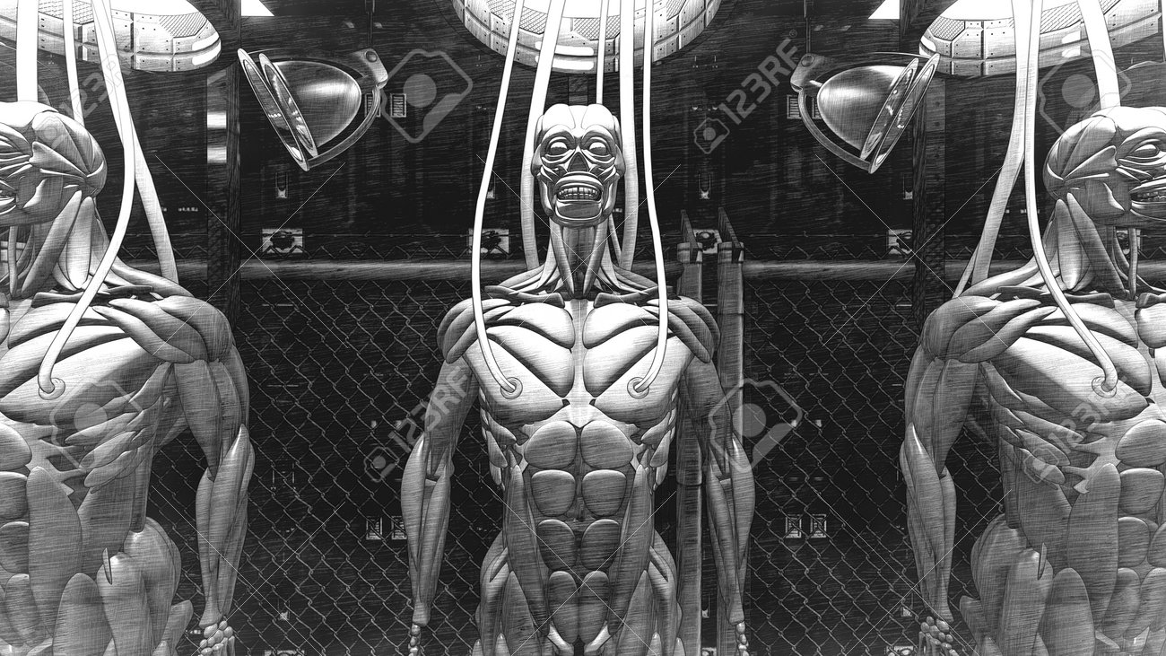 etiam-dictum-ipsum-a-felis