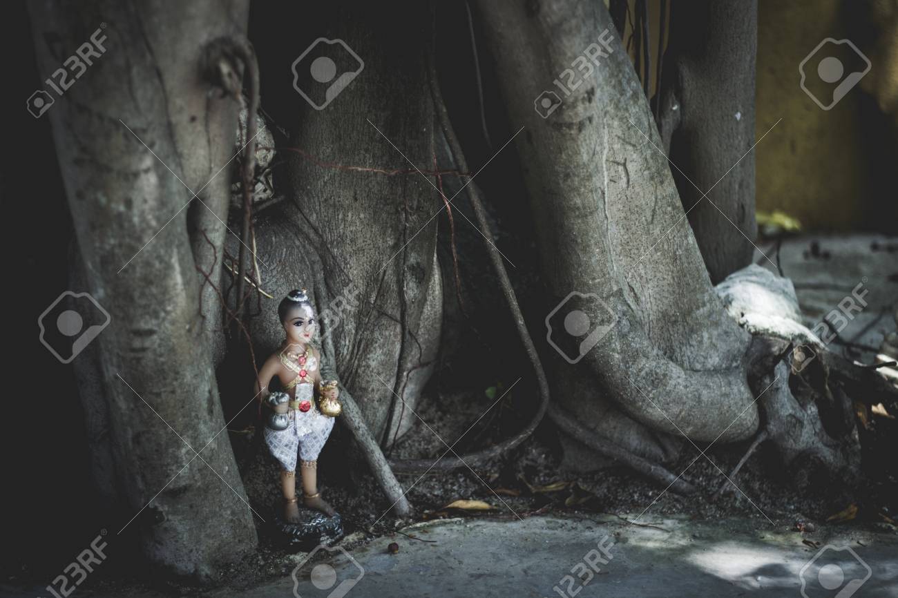 etiam-dictum-ipsum-a-felis