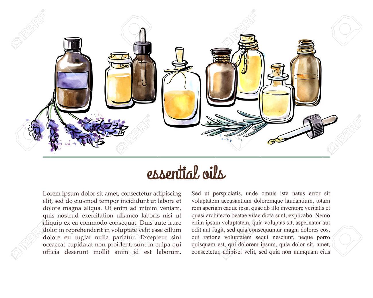 Vector illustration with essential oil bottles, aromatic plants and flowers. Hand drawn watercolor objects on white background with place for text. Aromatherapy card, flier or leaflet design. - 62226921 Vector illustration with essential oil bottles, aromatic plants and flowers. Hand drawn watercolor objects on white background with place for text. Aromatherapy card, flier or leaflet design. - 62226921