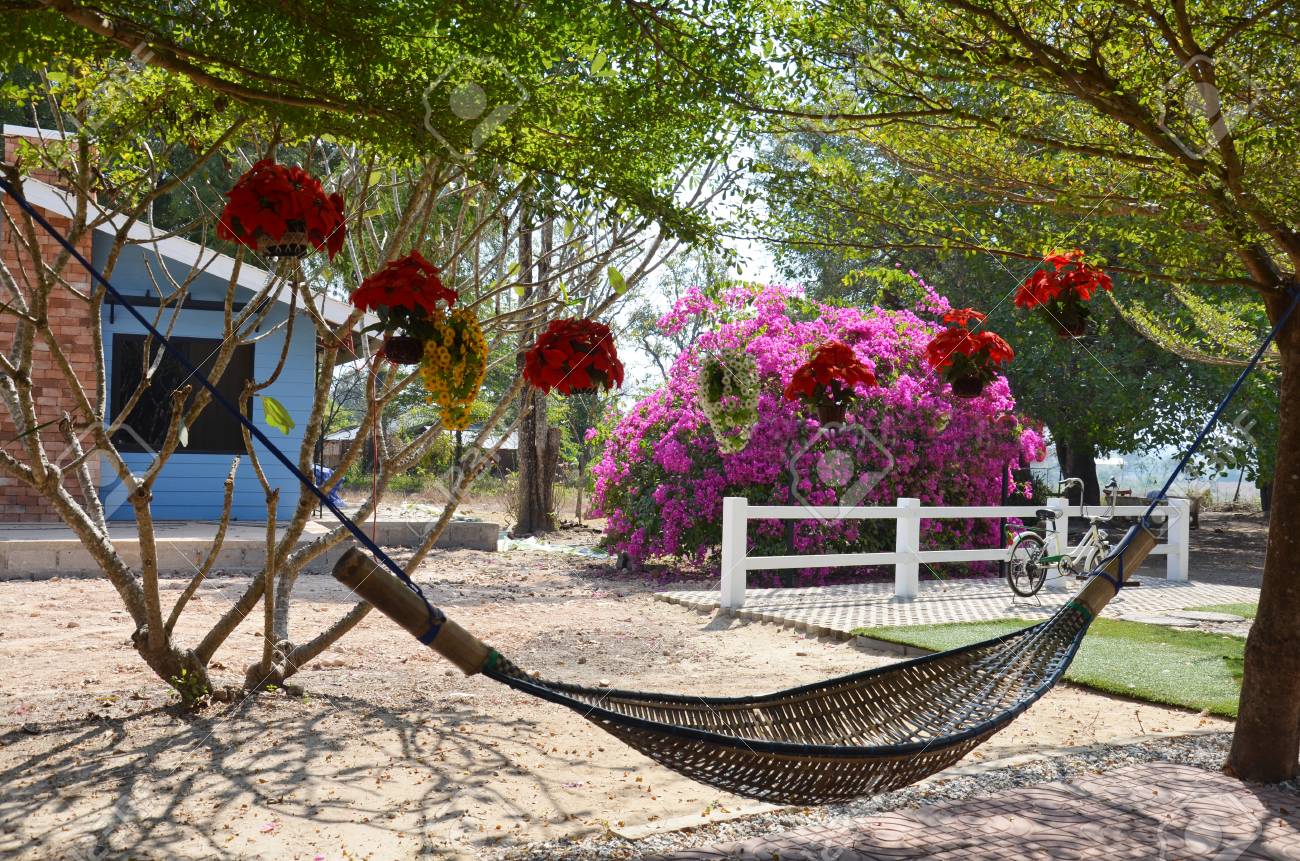 Mobel Hangematte Im Garten Lizenzfreie Fotos Bilder Und Stock Fotografie Image 33657137