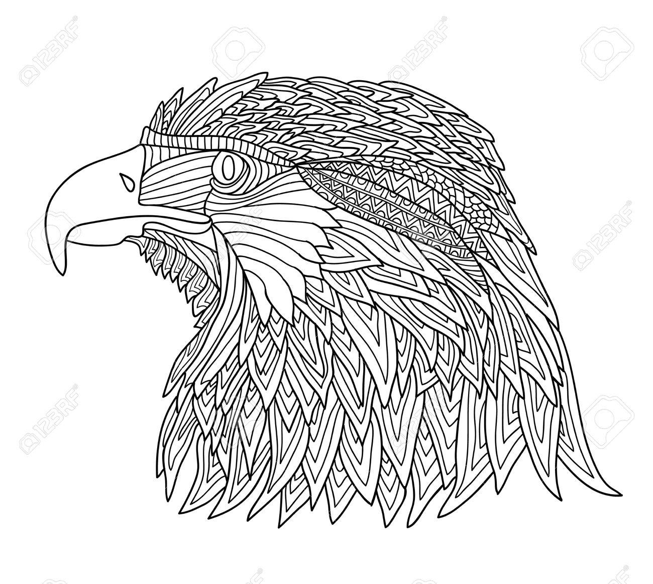 440 Coloring Book Eagle HD 440 Coloring Book Eagle HD