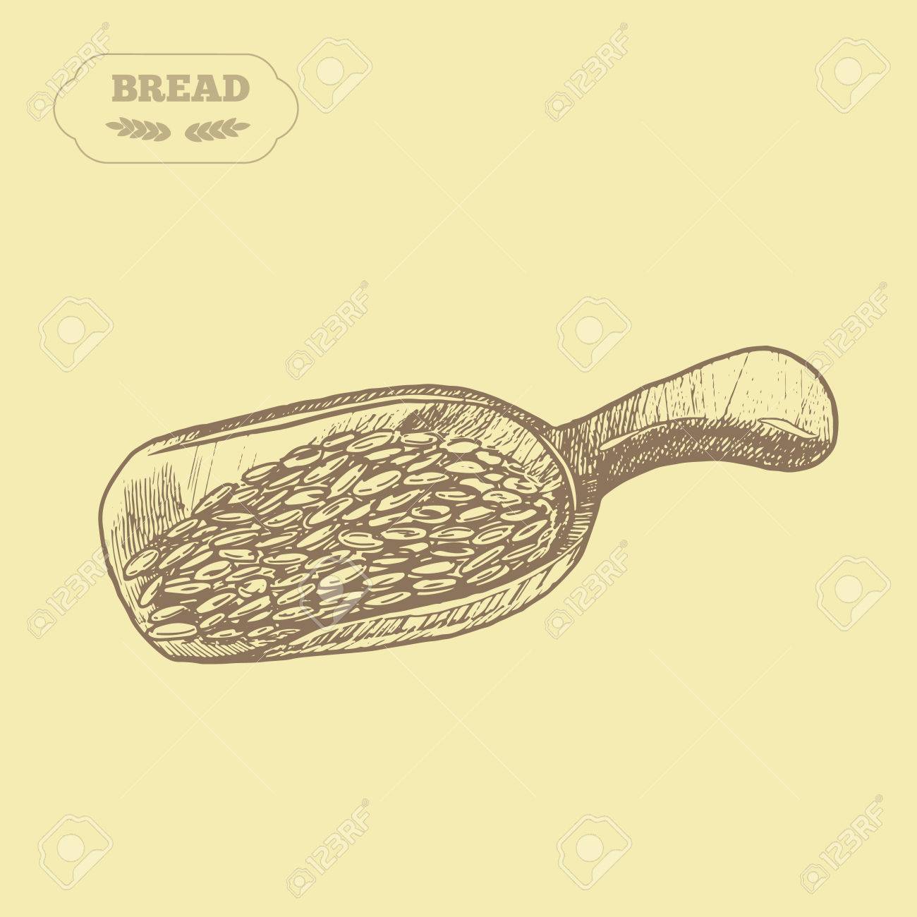木製スコップ小麦粒 手書きのスケッチ ベクトルの図 分離の背景に黒い耳 レトロなスタイルの彫刻グルテン食品の成分 のイラスト素材 ベクタ Image
