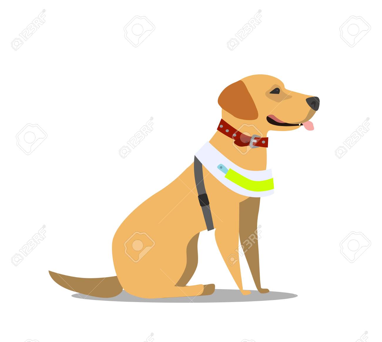Guide Dog, Specially Trained Seeing Eye For A Blind Person, Flat Cartoon Vector Illustration Isolated On White Background. Flat Cartoon Labrador Guide Dog For Blind People Royalty Free SVG, Cliparts, Vectors, And Guide Dog, Specially Trained Seeing Eye For A Blind Person, Flat Cartoon Vector Illustration Isolated On White Background. Flat Cartoon Labrador Guide Dog For Blind People Royalty Free SVG, Cliparts, Vectors, And