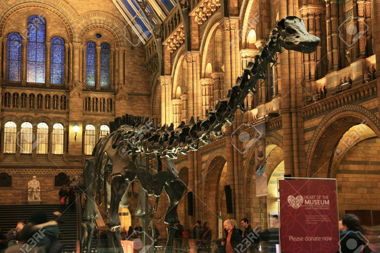 ロンドン イギリス 11 年 1 月 7 日 自然史博物館の表示中この美術館は 恐竜ディスプレイ恐竜ディスプレイの周り探しているの訪問者を見る子供たちの一番好きな美術館の一つです の写真素材 画像素材 Image ロンドン イギリス 11 年 1 月 7 日 自然史博物館の表示中この美術館は 恐竜ディスプレイ恐竜ディスプレイの周り探しているの訪問者を見る子供たちの一番好きな美術館の一つです の写真素材 画像素材 Image