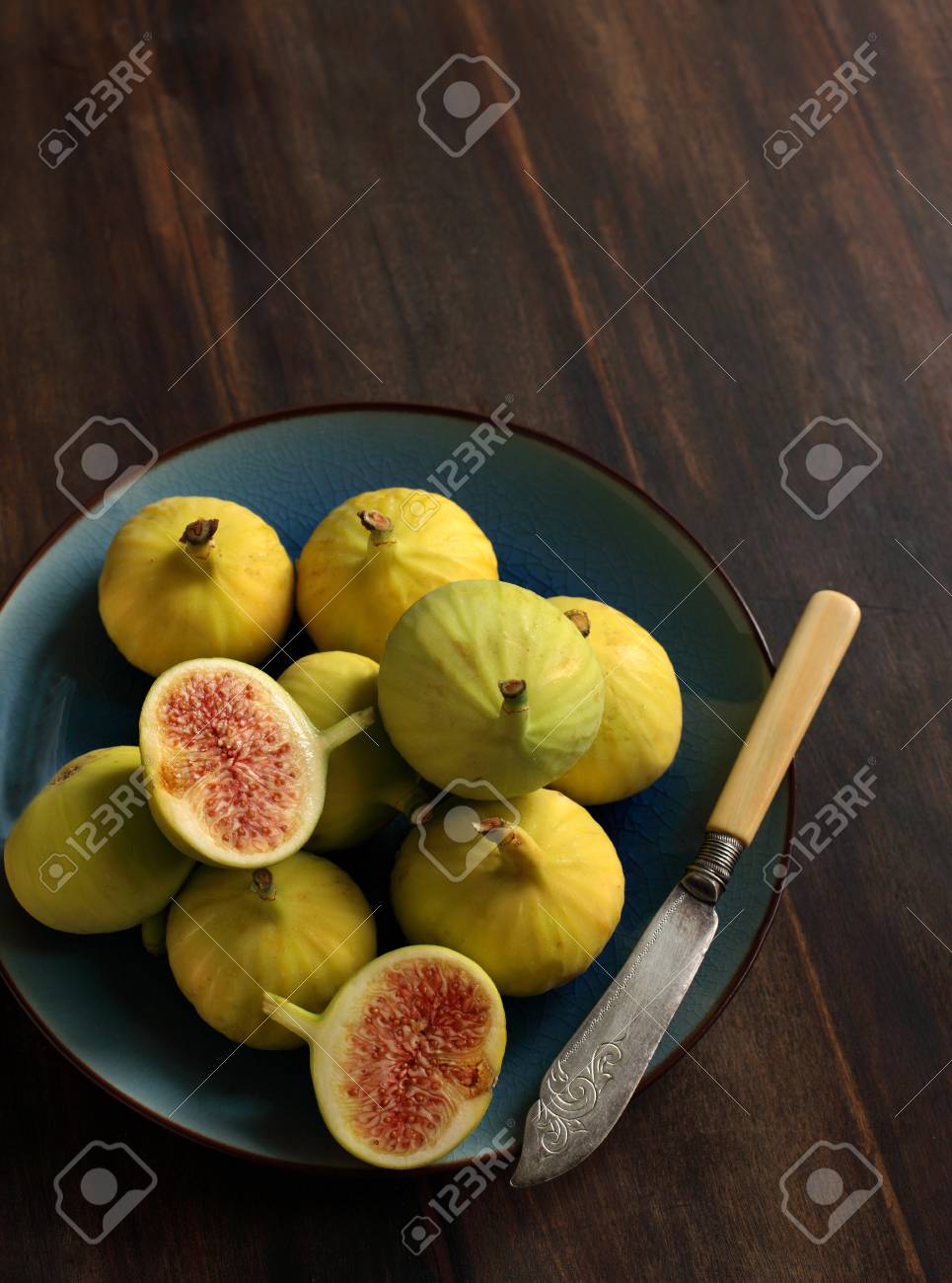 etiam-dictum-ipsum-a-felis