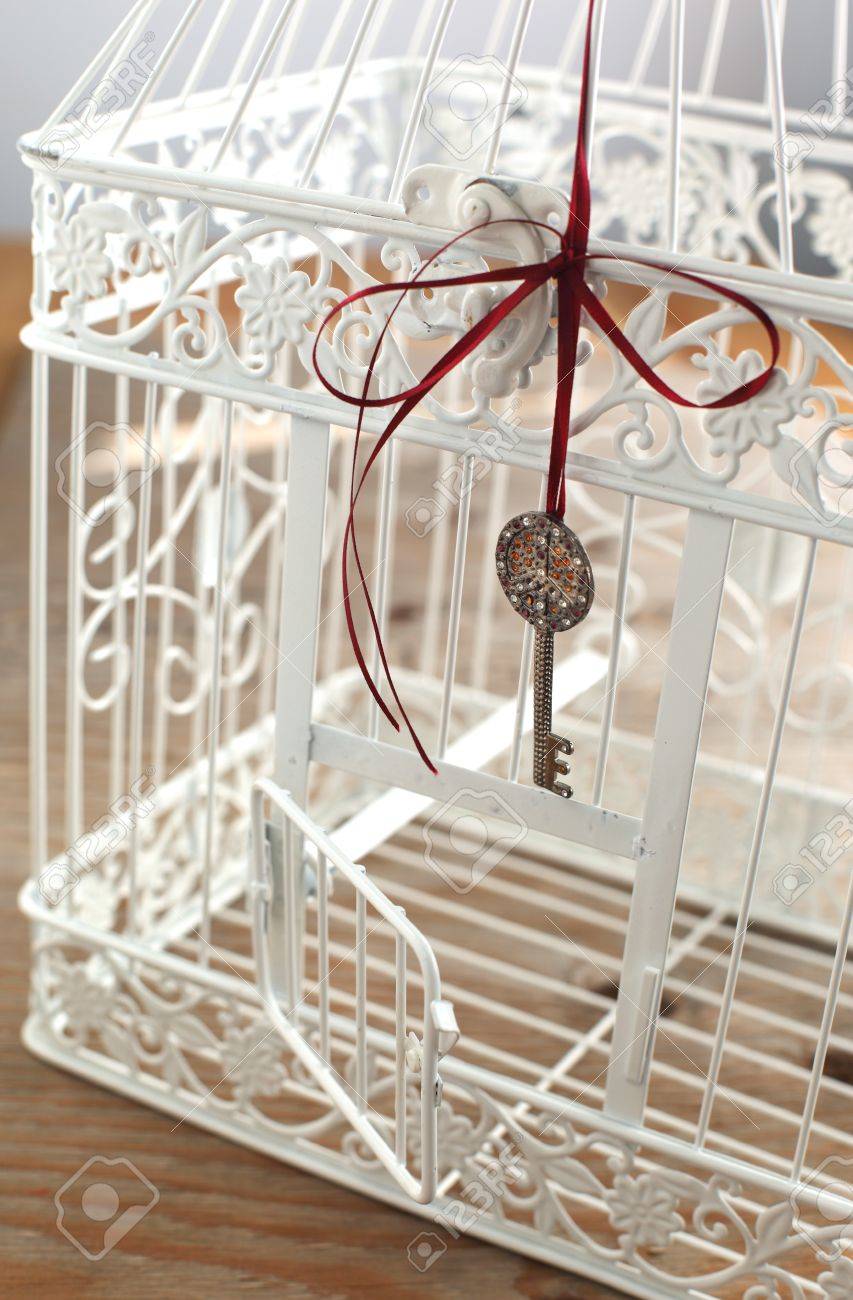 Vintage Bird Cage With Open Door And Key Stock Photo, Picture And Royalty  Free Image. Image 16815890.