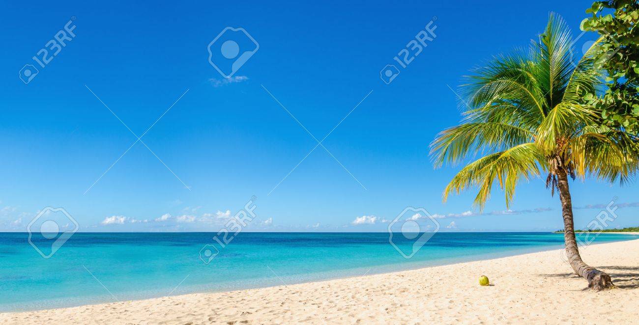 Amazing sandy beach with coconut palm tree and blue sky, Caribbean Islands - 40513553 Amazing sandy beach with coconut palm tree and blue sky, Caribbean Islands - 40513553