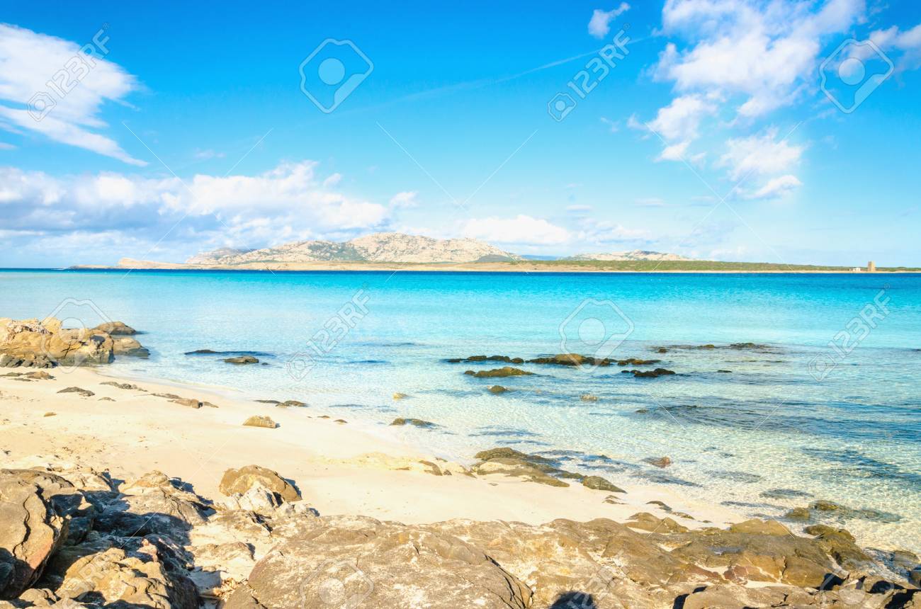 View Of A Wonderful La Pelosa Beach In Stintino Sardinia Italy