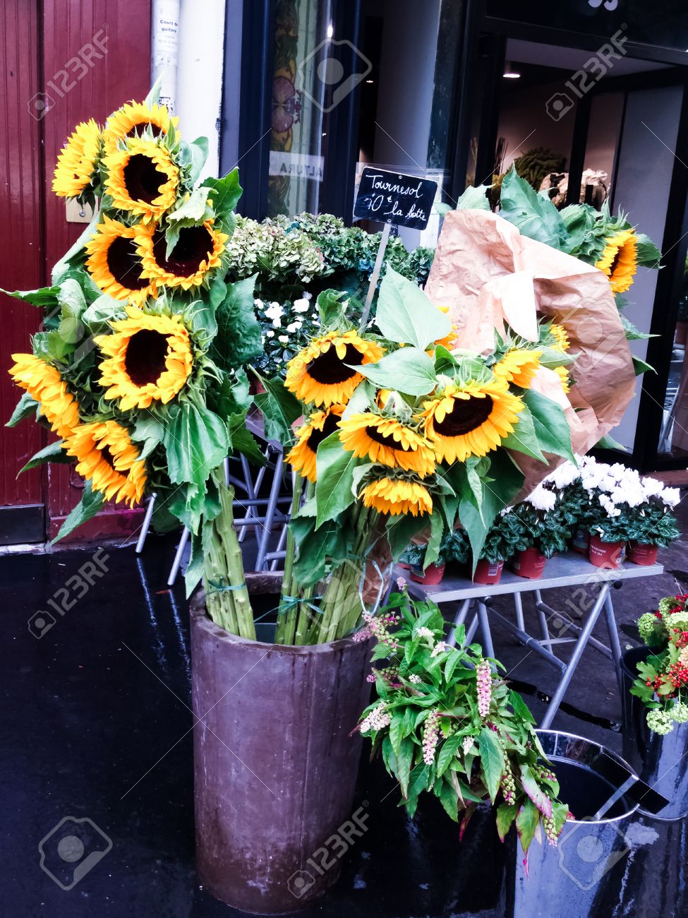 雨の日のパリのお花屋さんでの販売のひまわり の写真素材 画像素材 Image