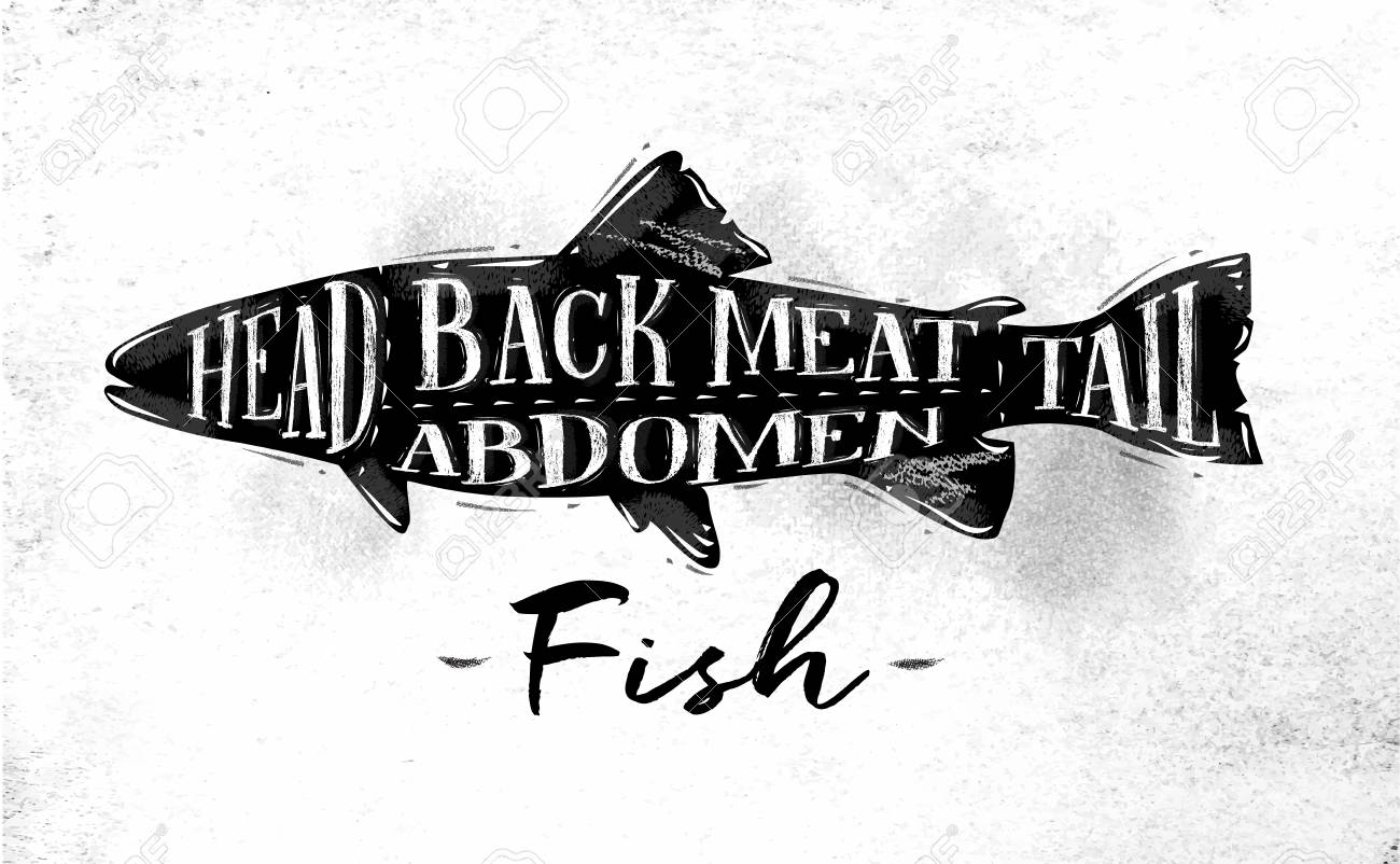 頭部 背中の肉をレタリング ポスター魚切断方式腹部 汚れた紙の背景上に描画ヴィンテージスタイルのしっぽ のイラスト素材 ベクタ Image 頭部 背中の肉をレタリング ポスター魚切断方式腹部 汚れた紙の背景上に描画ヴィンテージスタイルのしっぽ のイラスト素材 ベクタ Image
