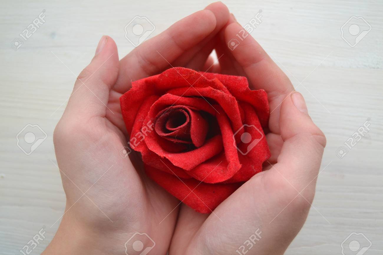 Love Symbol Concept Valentines Concept Bright Red Rose On Girl