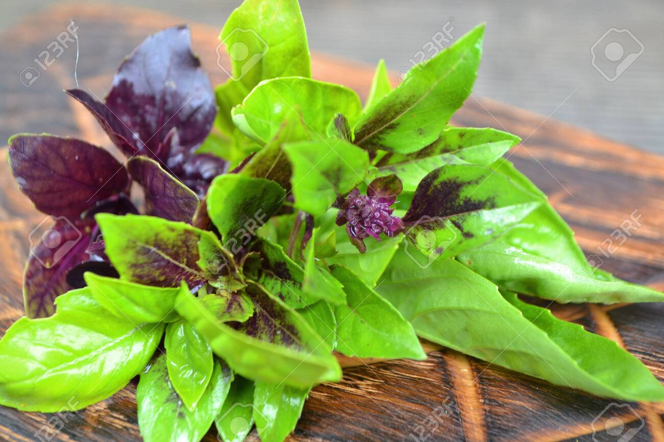 Fresh Herbs Basil On Rustic Wooden Cutting Board Fresh Summer - 