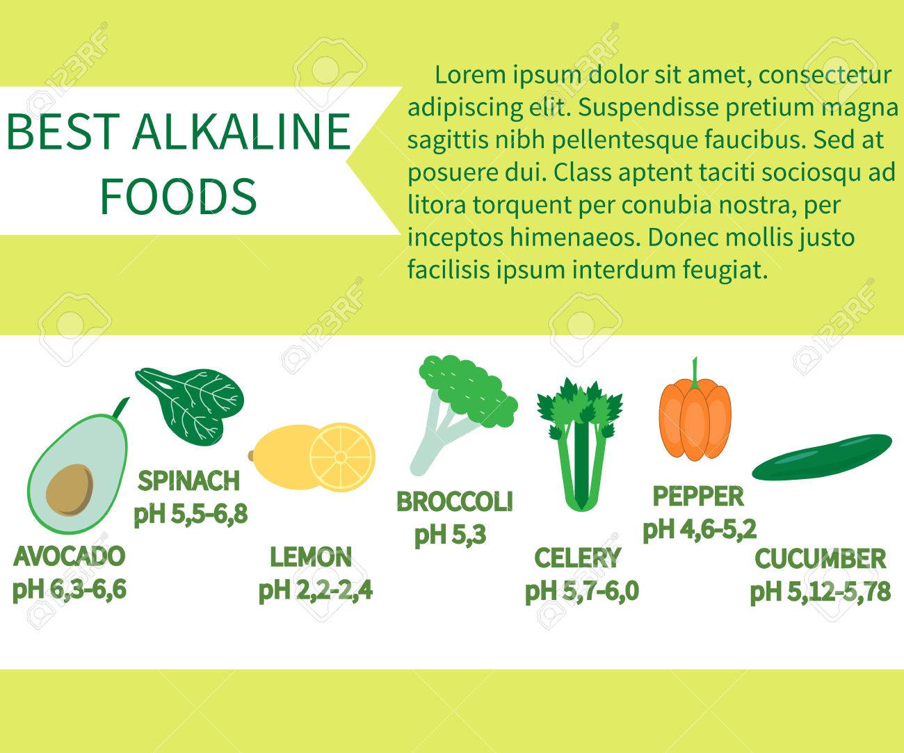 List Of Alkaline Foods Alkaline Foods Are Foods That Raise Royalty Free Cliparts Vectors And Stock Illustration Image 71109805