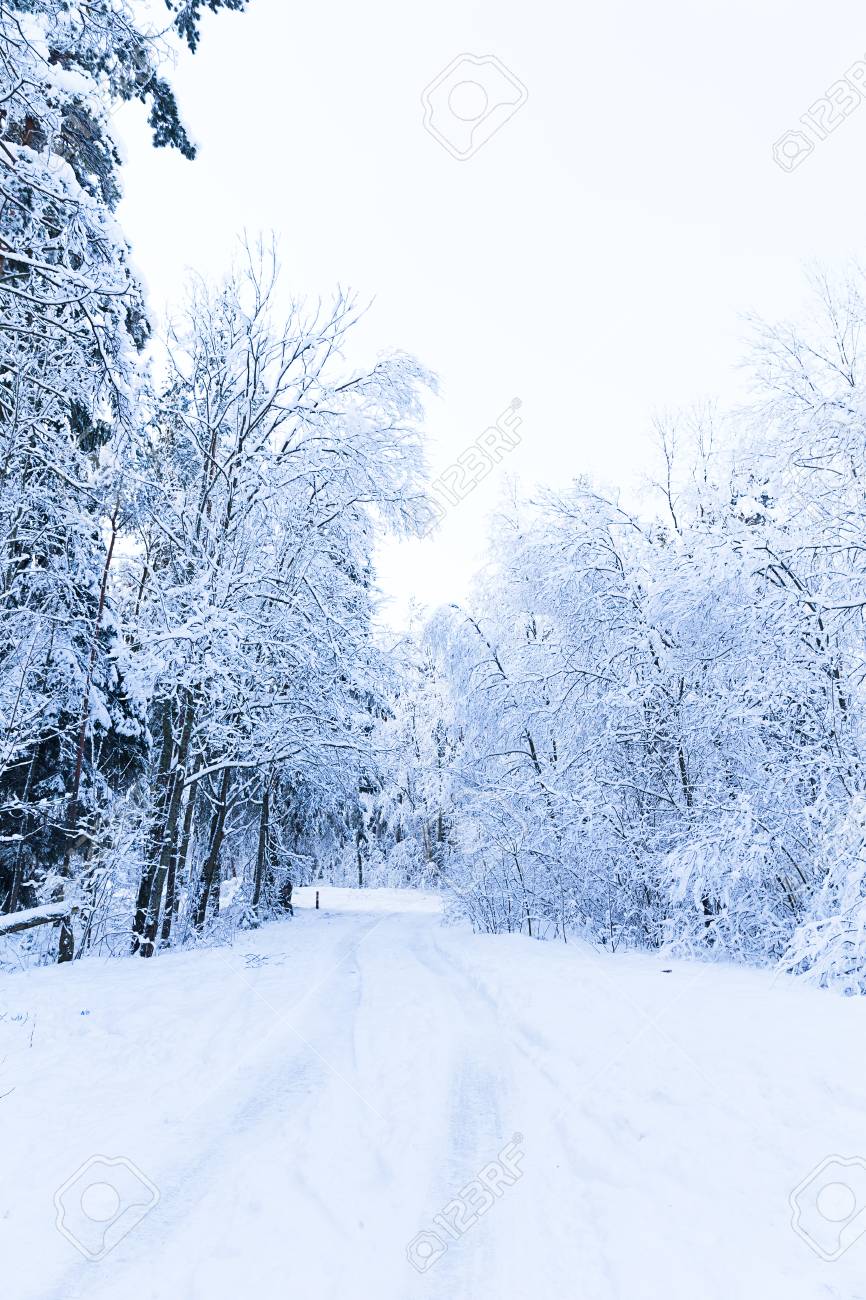 N・MOCKBA 「ロシアの雪景色」 油彩画 P25
