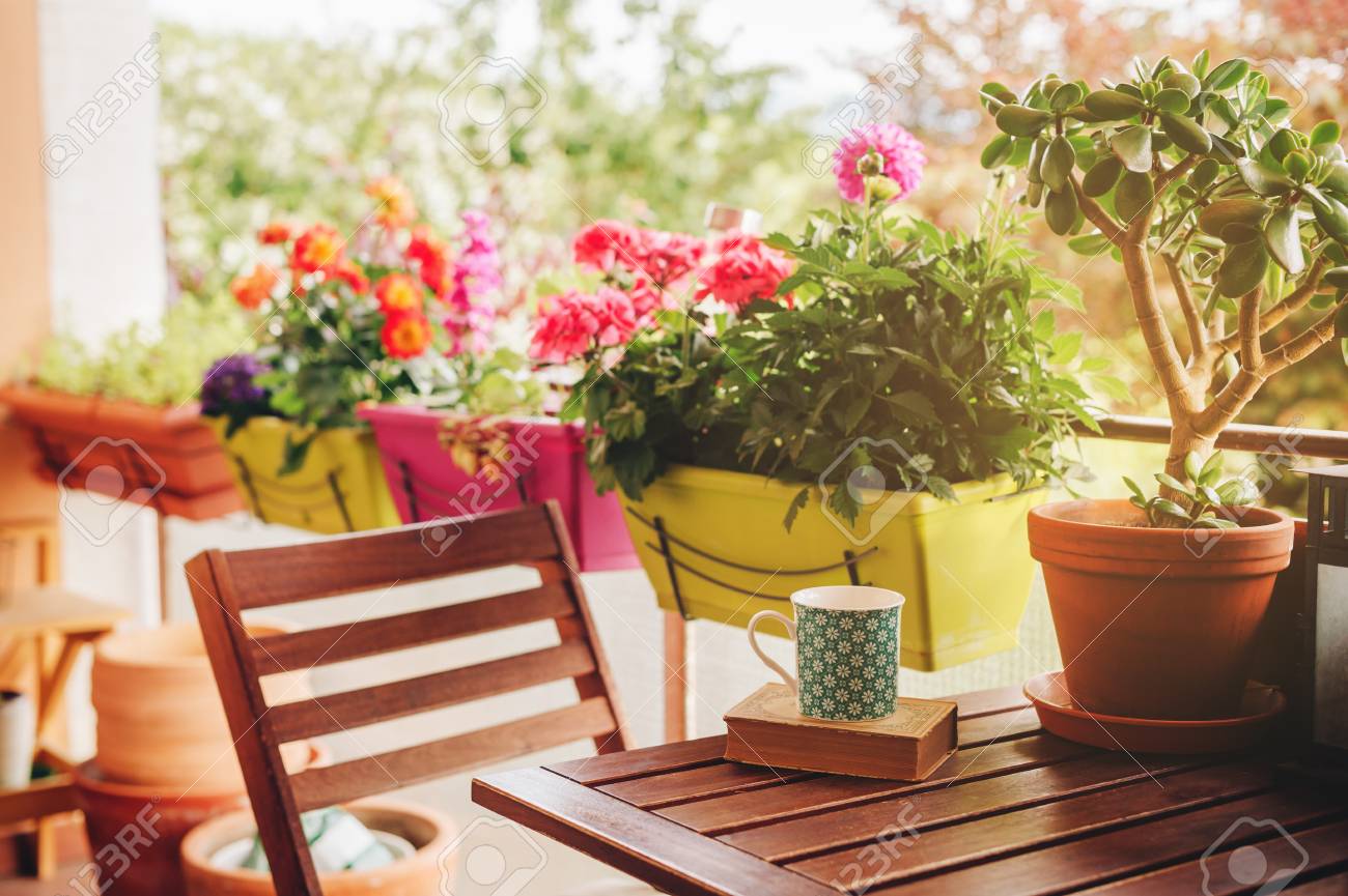 Cozy Summer Balcony With Many Potted Plants, Cup Of Tea And Old ...