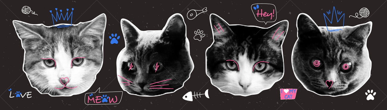 etiam-dictum-ipsum-a-felis