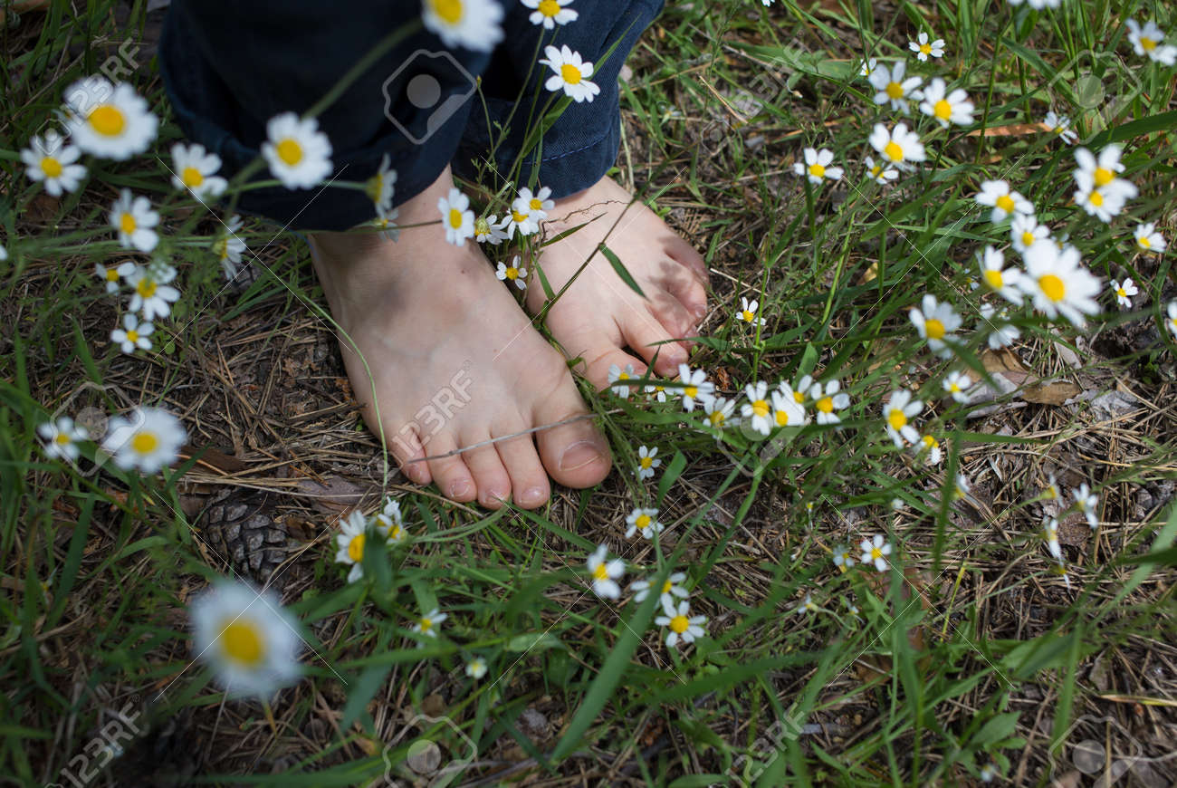 Nackte Füße Eines Kindes, Das Auf Dem Gras Zwischen Gänseblümchen Im Wald  Steht. Sommerfreude, Positive Stimmung, Glückliche Kindheit. Hallo Sommer,  Energie Der Natur. Tag Der Erde Lizenzfreie Fotos, Bilder und Stock  Fotografie.