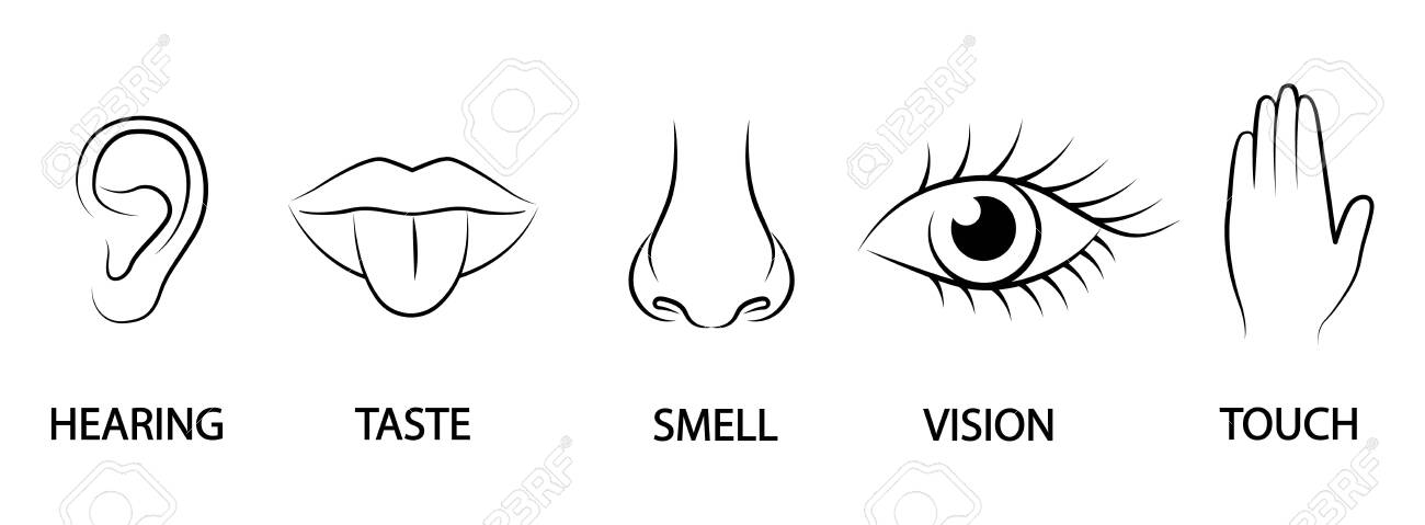 a-set-of-five-human-senses-ear-mouth-nose-eye-hand-royalty-free-svg-cliparts-vectors-and-stock-illustration-image-134268342 for Free Printable Eyes Nose Mouth A Set Of Five Human Senses, Ear, Mouth, Nose, Eye Hand Royalty Free SVG, Cliparts, Vectors, and Stock Illustration. Image 134268342. for Free Printable Eyes Nose Mouth