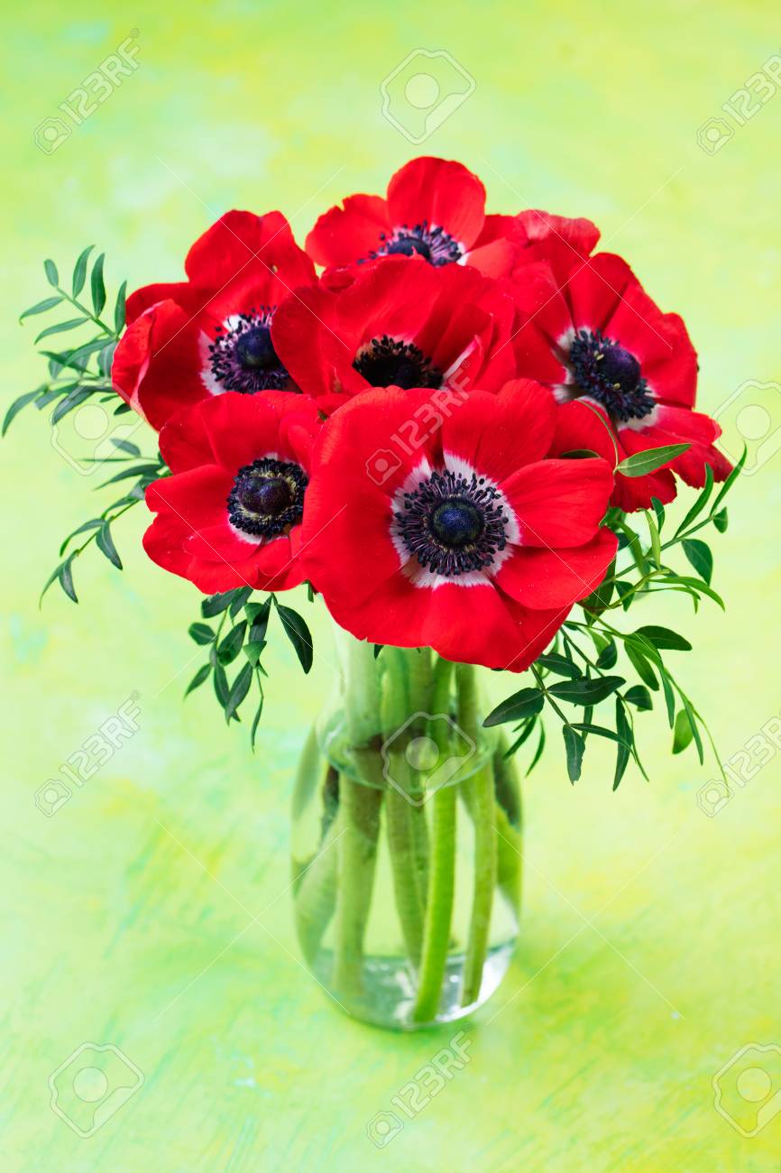 Red Anemone Flowers Bouquet In A Glass Vase Bright Green Background Stock Photo Picture And Royalty Free Image Image