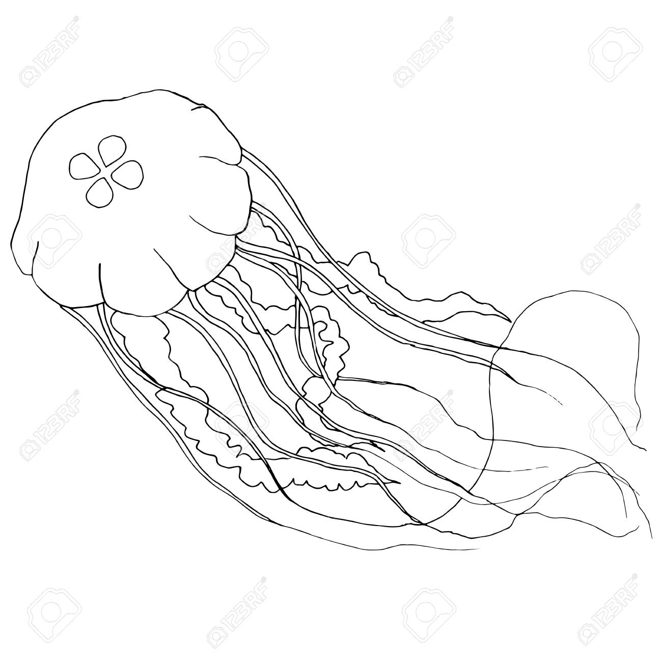 手描き☆イラスト☆白黒☆オリジナル☆A4サイズ☆少女とクラゲ