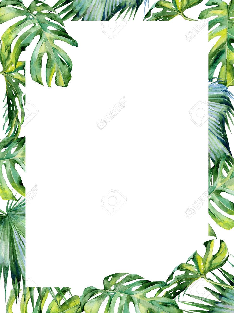 Illustration Aquarelle De Feuilles Tropicales Jungle Dense Peinte A La Main Banniere Avec Motif Tropic D Ete Peut Etre Utilise Comme Un Mariage Ou Carte De Voeux Modele D Invitation Holyday Ou Salutation D Anniversaire