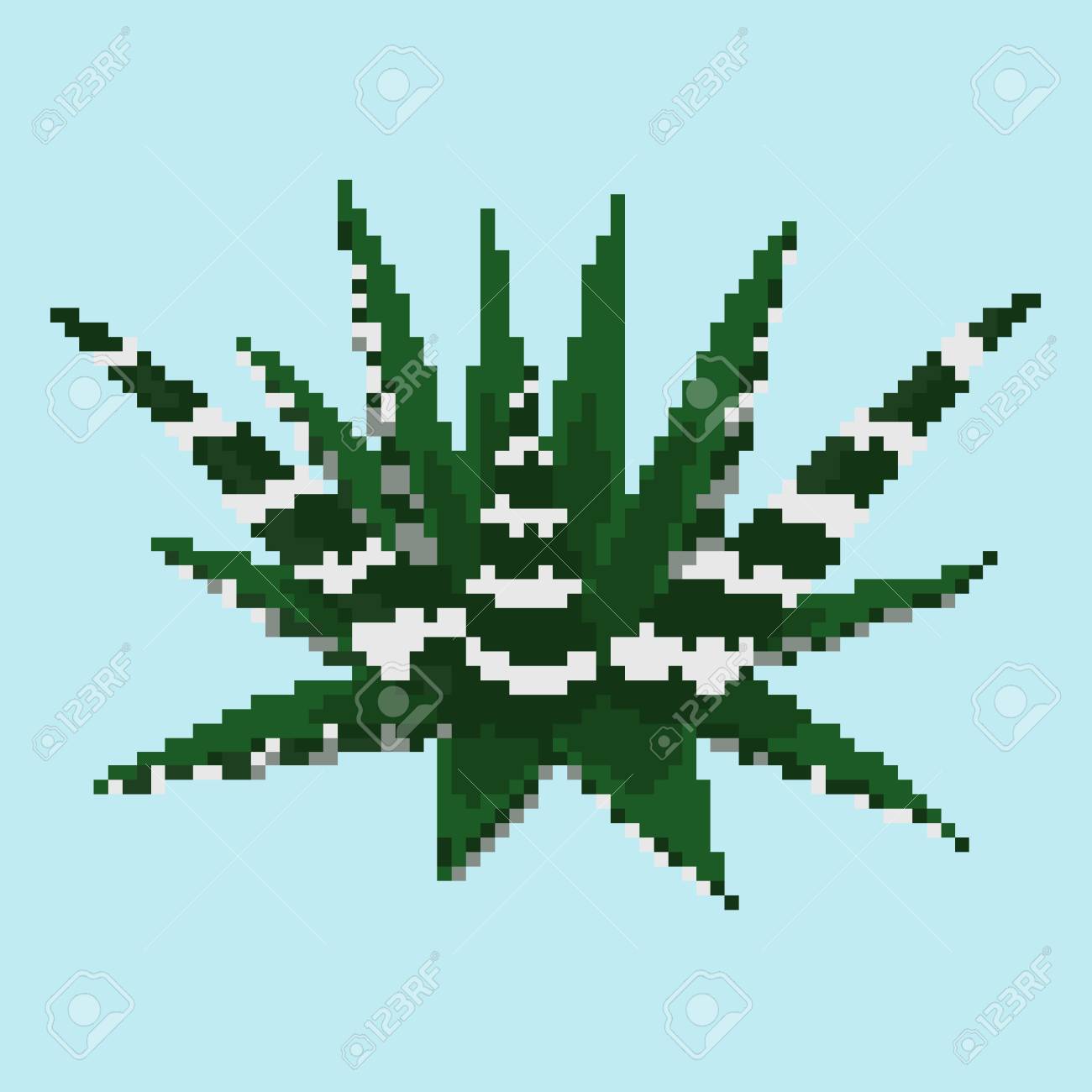 Pixel Succulent Haworthia Isolated On A Blue Background Royalty Free Cliparts Vectors And Stock Illustration Image 104718328