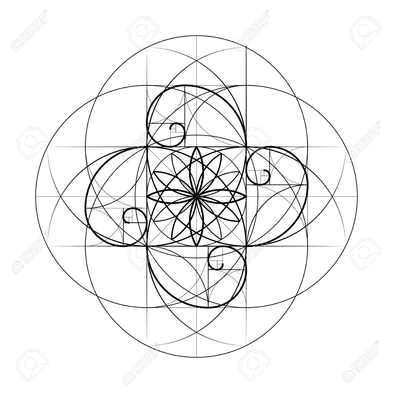 golden section sacred geometry vector symbol at the intersection sacred geometry vectors