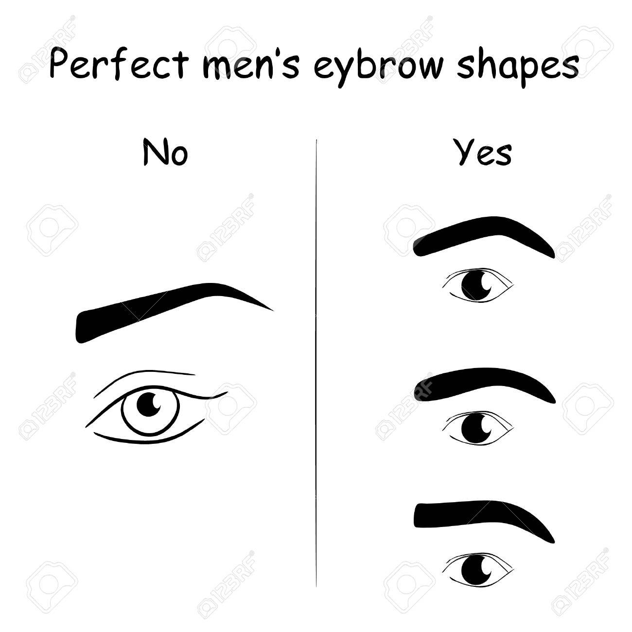 male eyes and eyebrows vector elements illustration how to shape