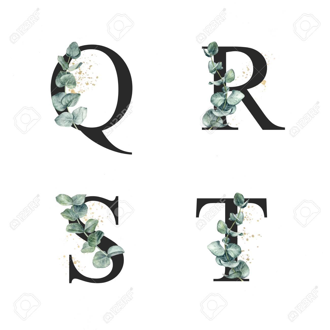 Floral Alphabet Q R S T With Watercolor Eucalyptus Sprigs And