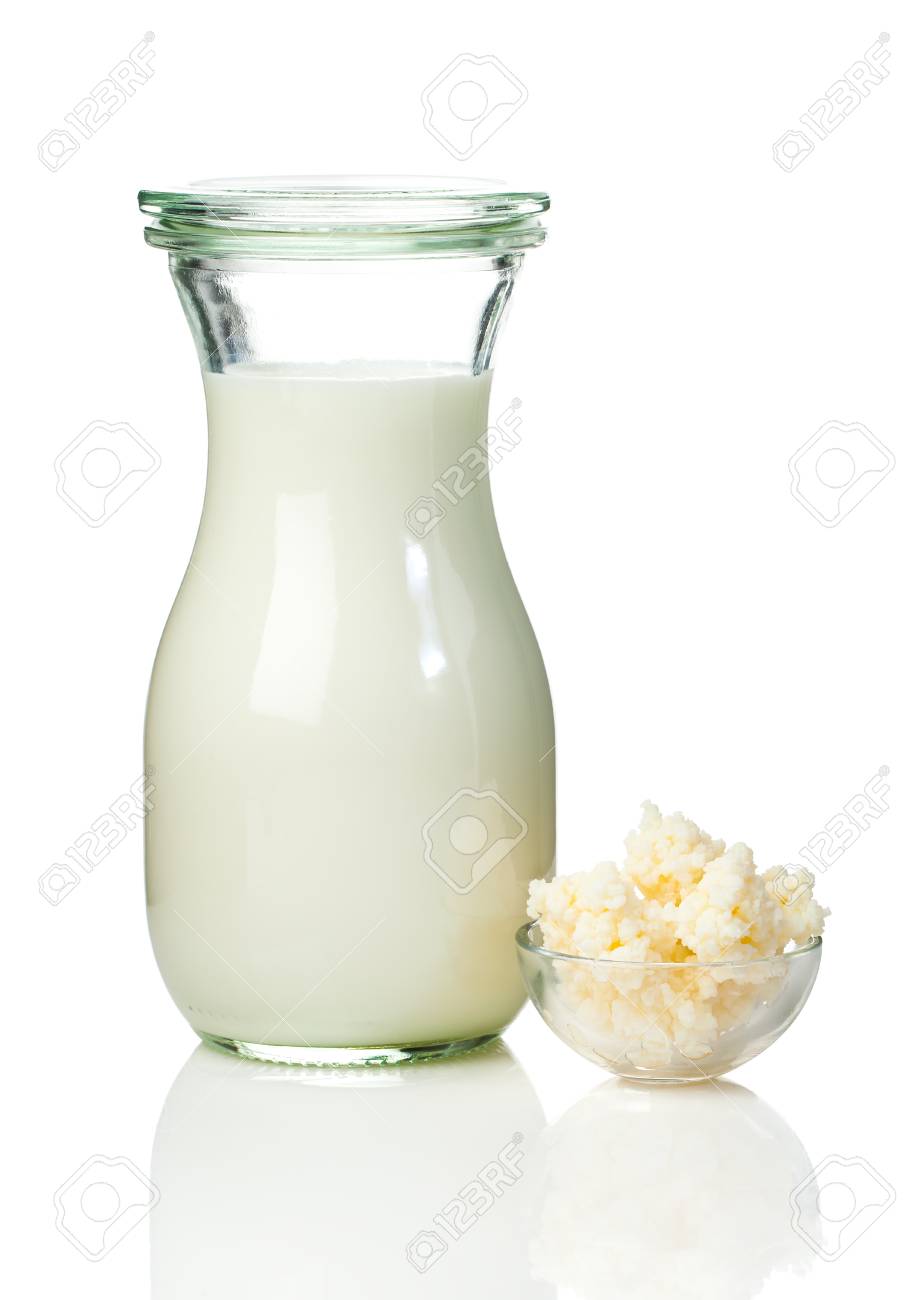 milk kefir grains milk kefir or búlgaros is a fermented milk