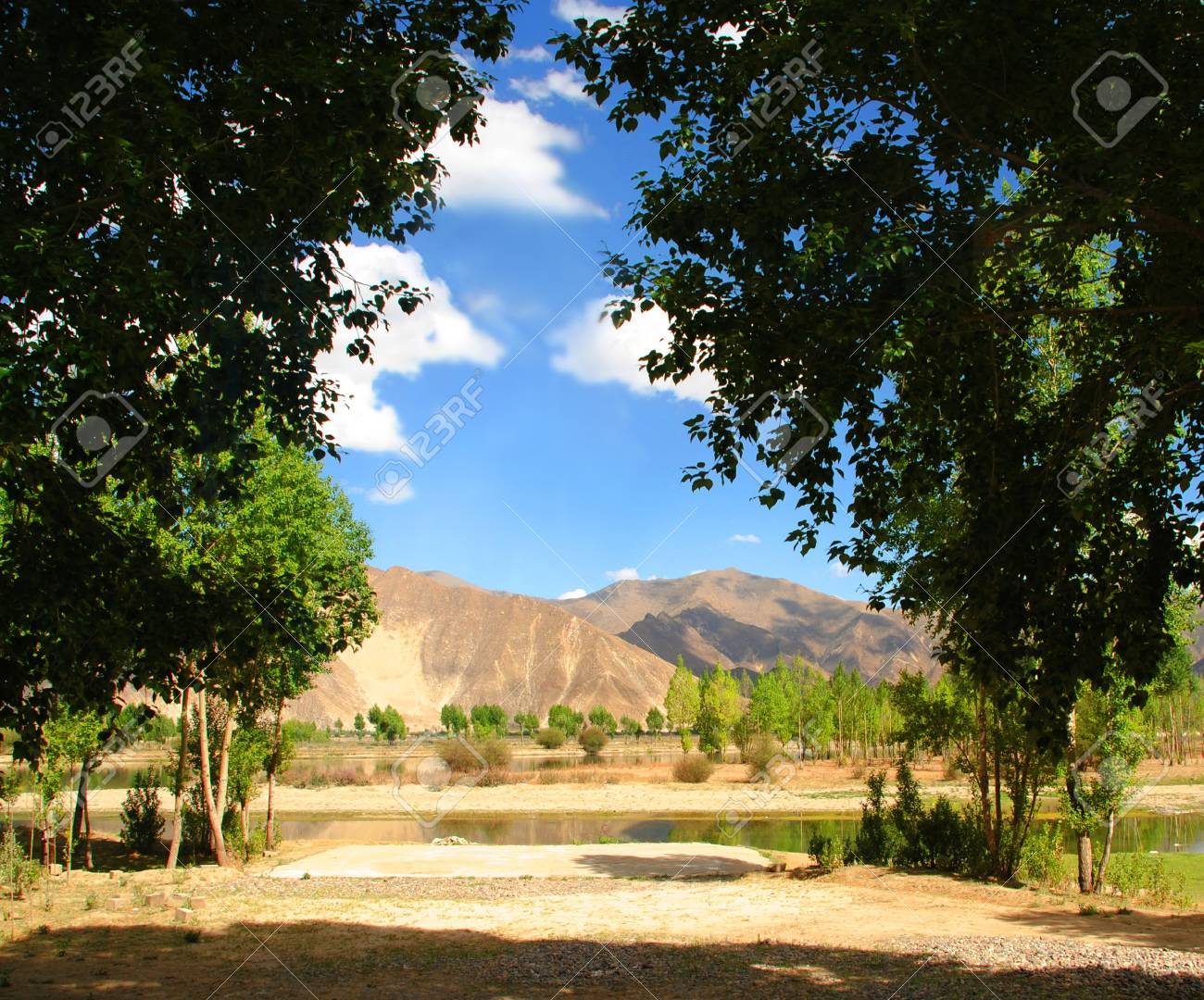 etiam-dictum-ipsum-a-felis