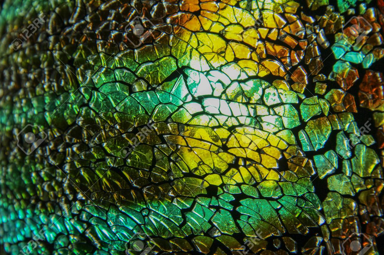 etiam-dictum-ipsum-a-felis