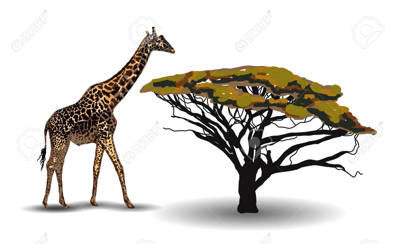 ETHNIC TREND. PAINTING IN AFRICAN STYLE. giraffe in the savannah. African animal isolated on white background. Vector illustration. - 168195255 ETHNIC TREND. PAINTING IN AFRICAN STYLE. giraffe in the savannah. African animal isolated on white background. Vector illustration. - 168195255