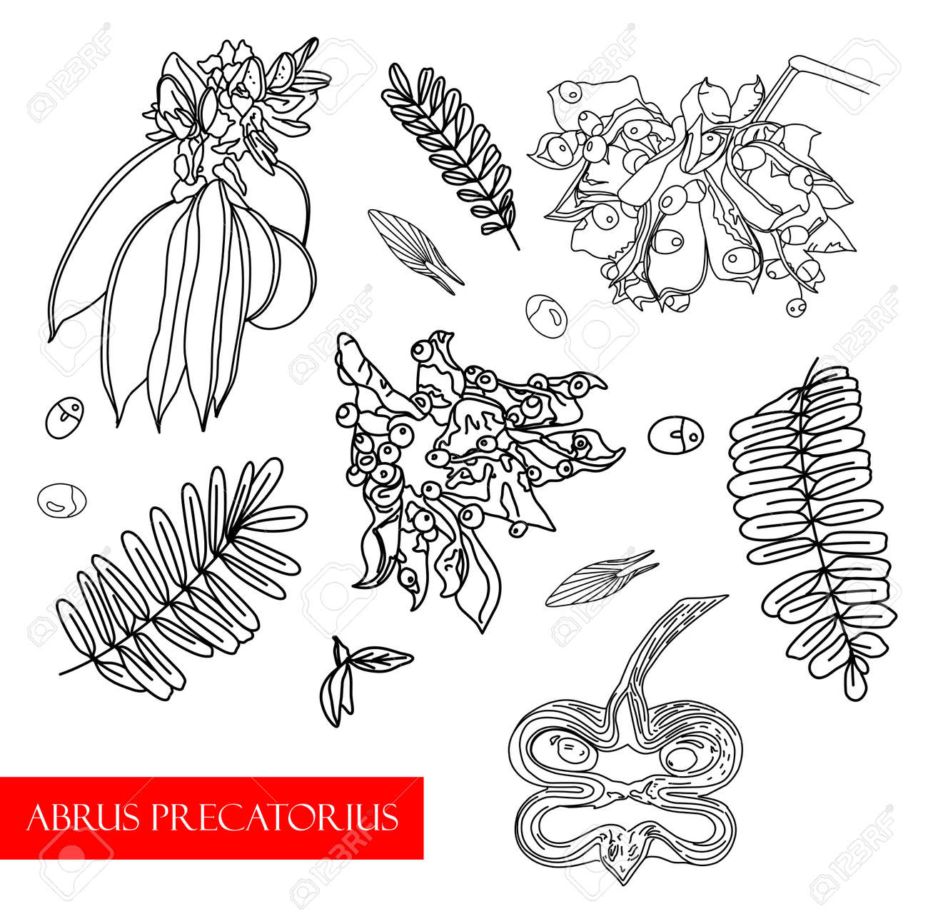 Treatment plant. Ethnoscience Vector illustration - 168196980 Treatment plant. Ethnoscience Vector illustration - 168196980