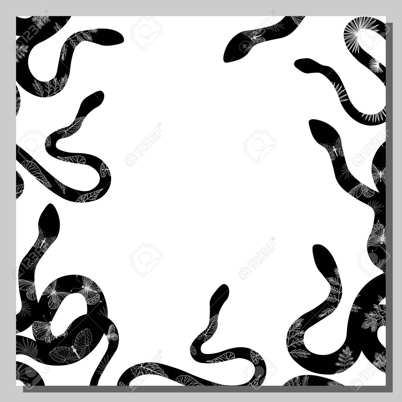 Snake. The background is white with black snakes. Frame. Exotic reptiles. Vector illustration - 168196996 Snake. The background is white with black snakes. Frame. Exotic reptiles. Vector illustration - 168196996