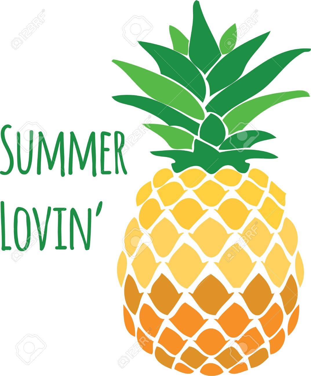 キッチンの装飾やおもてなしの象徴としてパイナップルを使用します のイラスト素材 ベクタ Image