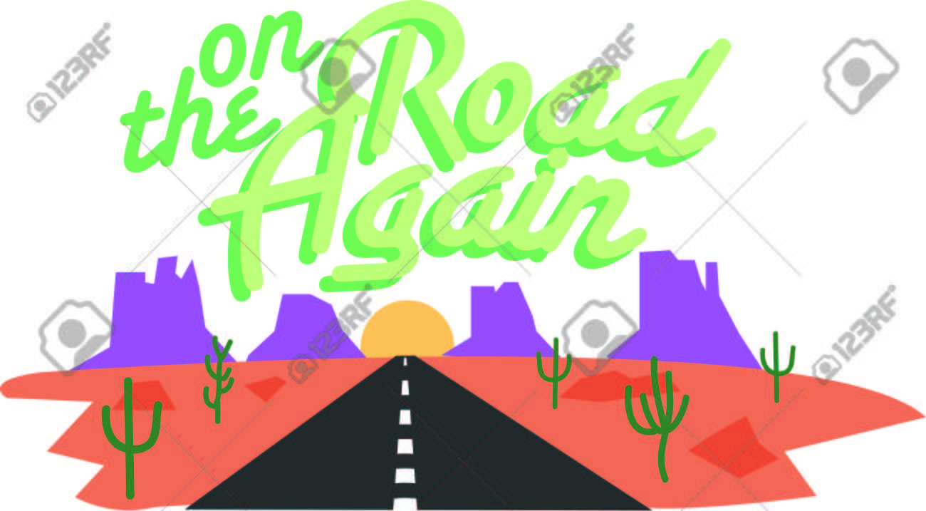 Explore This Vibrant Oasis Bursting At The Seams With Unusual - 