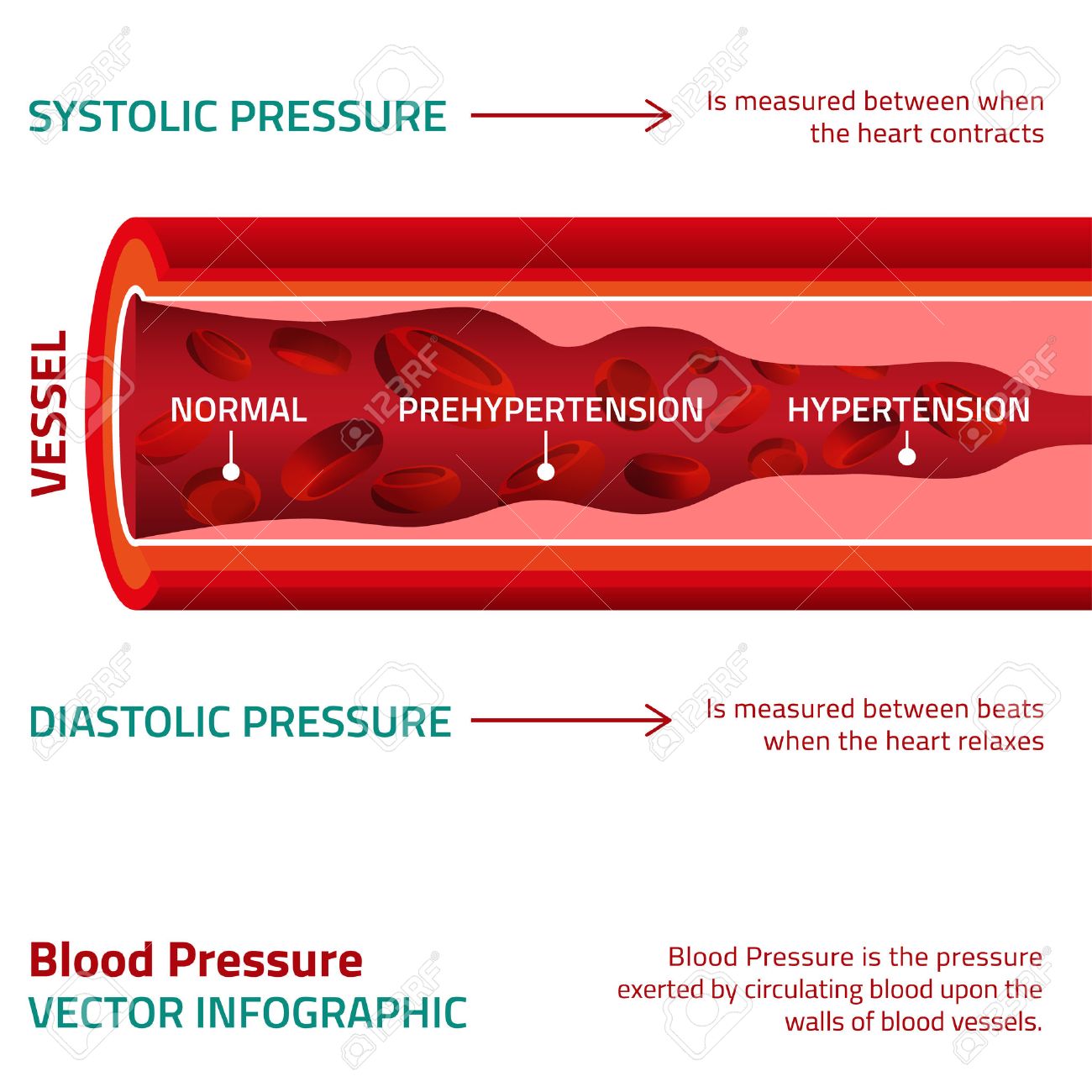 Concepto de presion arterial