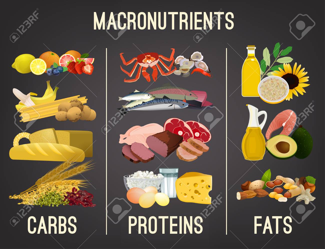Main food groups - macronutrients. Carbohydrates, fats and proteins in comparison. Dieting, healthcare and eutrophy concept. Vector illustration isolated on a dark grey background. Landscape poster. - 103233357 Main food groups - macronutrients. Carbohydrates, fats and proteins in comparison. Dieting, healthcare and eutrophy concept. Vector illustration isolated on a dark grey background. Landscape poster. - 103233357