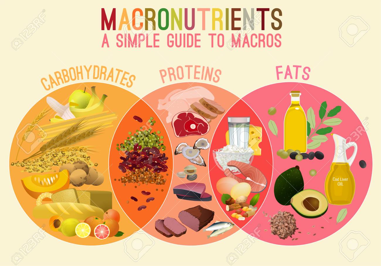 Main food groups - macronutrients. Carbohydrates, fats and proteins in comparison. Dieting, healthcare and eutrophy concept. Vector illustration isolated on a lighr beige background. Landscape poster. - 115003470 Main food groups - macronutrients. Carbohydrates, fats and proteins in comparison. Dieting, healthcare and eutrophy concept. Vector illustration isolated on a lighr beige background. Landscape poster. - 115003470