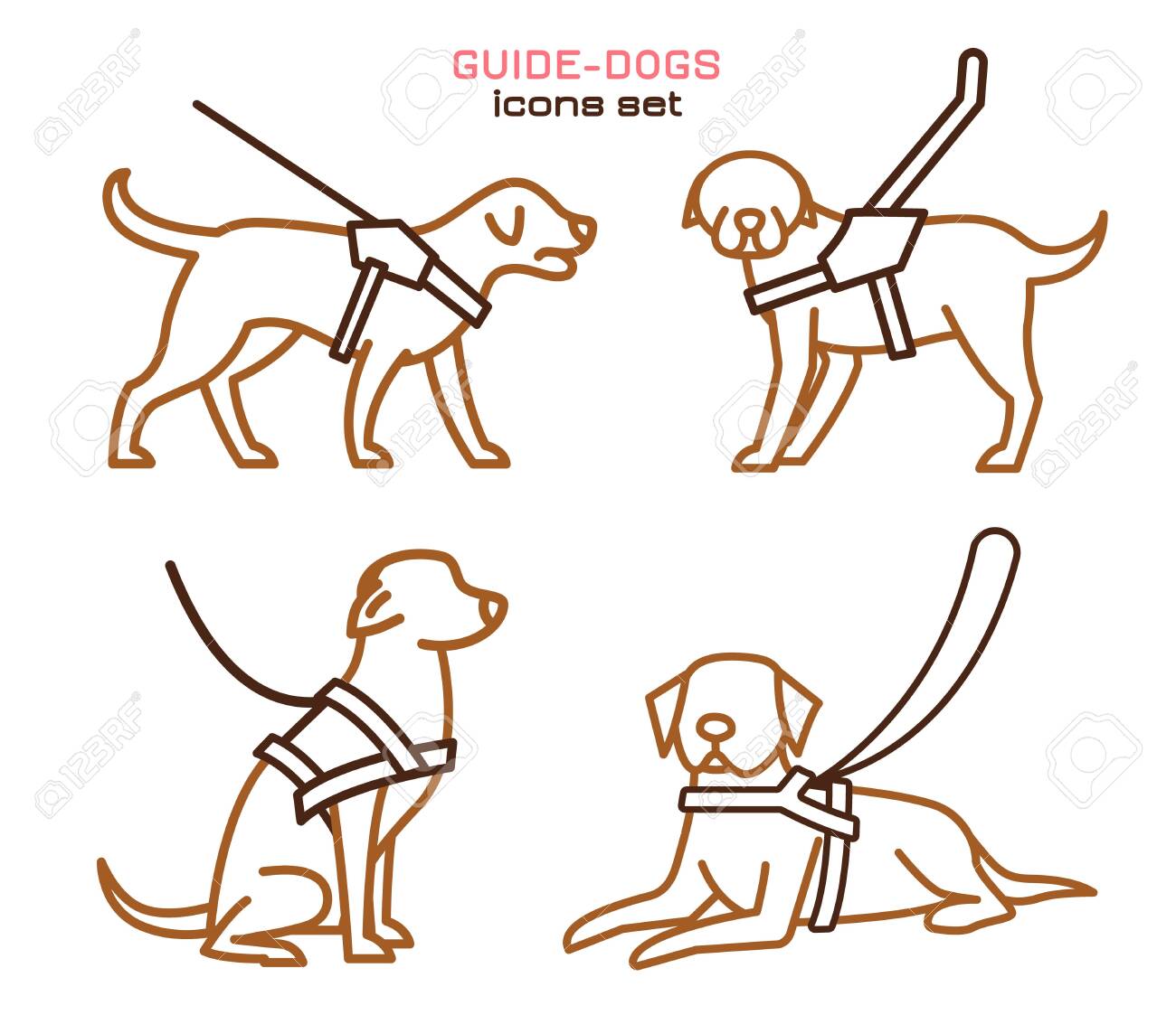 support animal harness