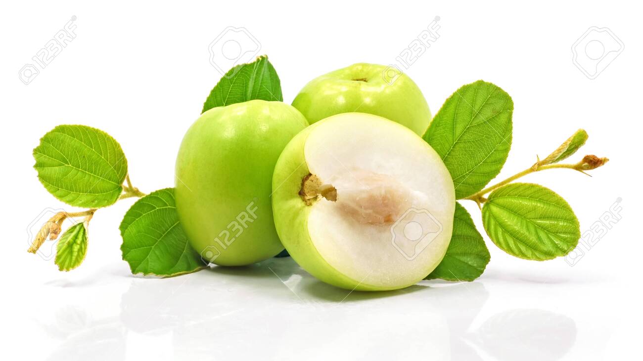 Fresh Green Jujube Fruit Isolated On White Background Stock Photo Picture And Royalty Free Image Image
