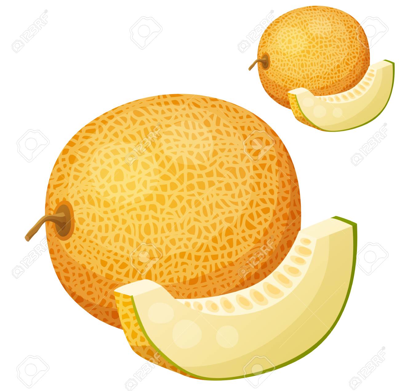 Riped メロン果実のイラスト のイラスト素材 ベクタ Image 91228628